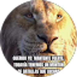 Profile photo of Lide Moreno