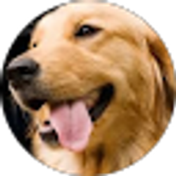 Profile photo of Gregg Gianpetro