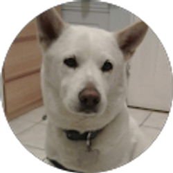 Profile photo of K Le