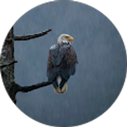 Profile photo of Kevin Johnson