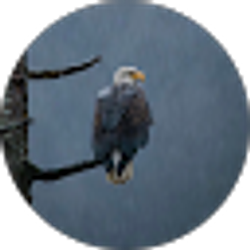 Profile photo of Kevin Johnson