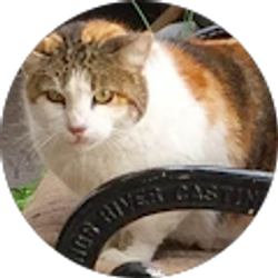 Profile photo of Sandy Zhu