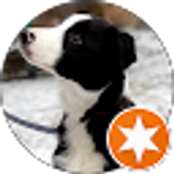 Profile photo of Tim D