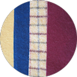 Profile photo of Beth Wagar