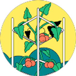 Profile photo of Regan Eyerman