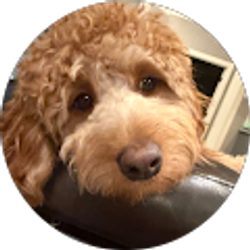 Profile photo of Beth Pope