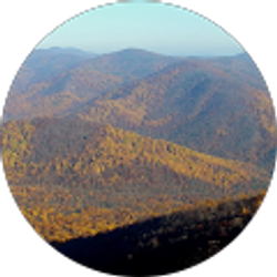 Profile photo of Drew Henricks