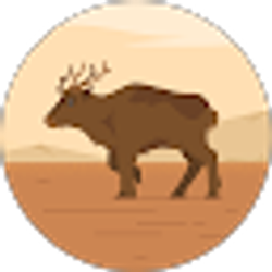 Profile photo of Jim Koenig