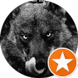 Profile photo of John Kennedy