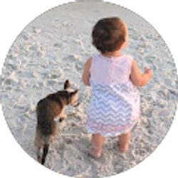 Profile photo of Kelli Halstead