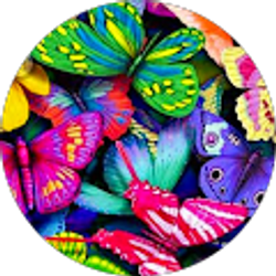 Profile photo of Desi Rodriguez