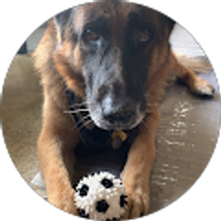 Profile photo of Nadine Heindl