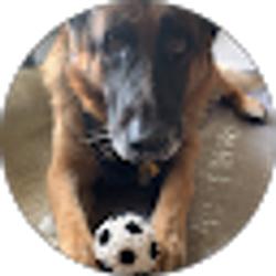 Profile photo of Nadine Heindl