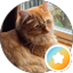 Profile photo of Jess Kelly