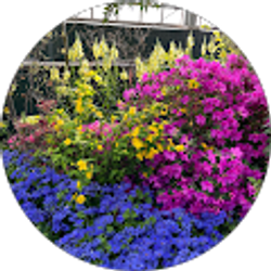 Profile photo of Jenny Luebbe