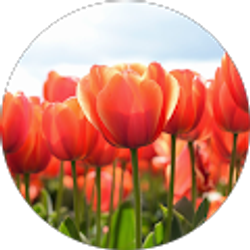 Profile photo of Leticia Campa