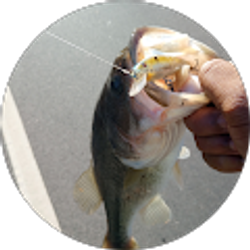 Profile photo of Blake Mcmillian