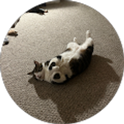 Profile photo of denise Wilt