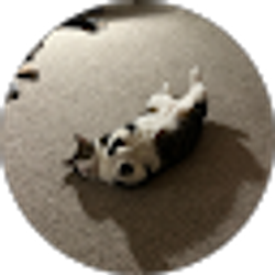 Profile photo of denise Wilt