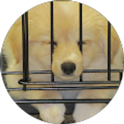 Profile photo of Bonnie Franks