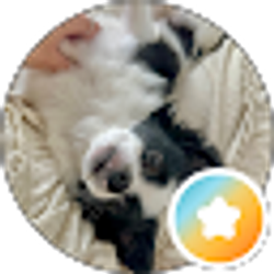 Profile photo of Tori R