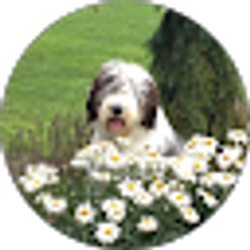 Profile photo of Kevin and Debbie Miller