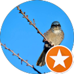 Profile photo of kimberly farbo