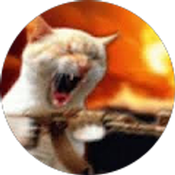 Profile photo of Matthew L