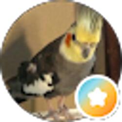 Profile photo of Matthew Linn