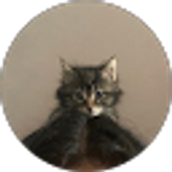 Profile photo of Emily Rios
