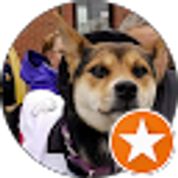 Profile photo of Jacob Moore