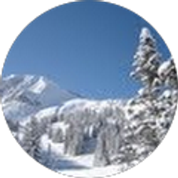 Profile photo of Pat Lang