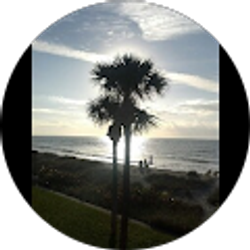 Profile photo of tom anderson