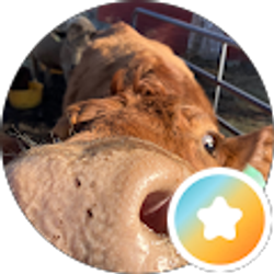 Profile photo of Sheryl Brokopp