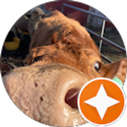 Profile photo of Sheryl Brokopp