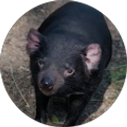 Profile photo of Joe Smith