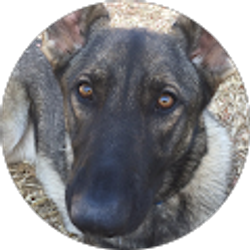 Profile photo of Mara Cobb