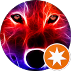 Profile photo of WLW wolf llama wolf