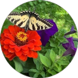 Profile photo of Kimmie Wilson