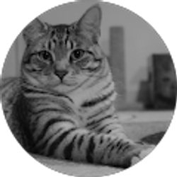 Profile photo of Amanda Lacara