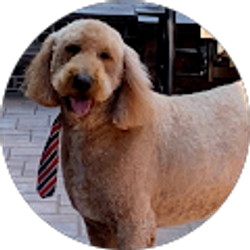 Profile photo of Alma Roman