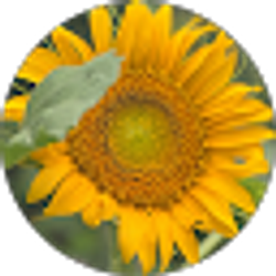 Profile photo of Joan Deitemyer