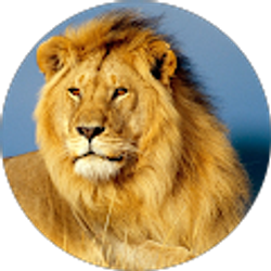 Profile photo of mariono brown