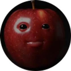 Profile photo of Jackson Elders