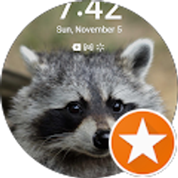 Profile photo of Yesenia Vela