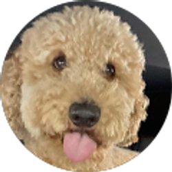 Profile photo of Collin Mitzenmacher