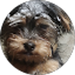 Profile photo of Kurt Bursey