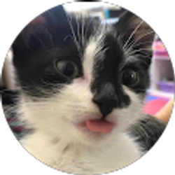 Profile photo of Xiaoming Ma