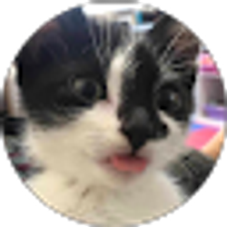 Profile photo of Xiaoming Ma