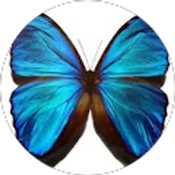 Profile photo of Gina Craig